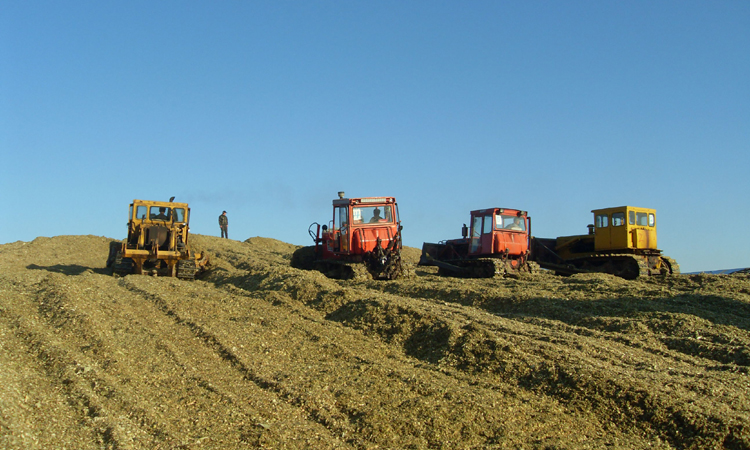 【手工煎饼大米饼玉米面饼制作小投资高回报】